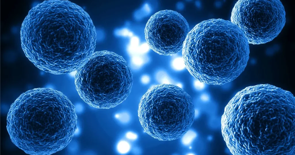 สเต็มเซลล์ (Stem Cells) คืออะไร