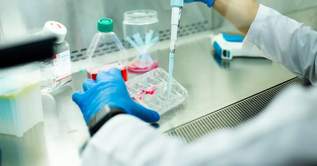 สเต็มเซลล์ (Stem Cells) คืออะไร