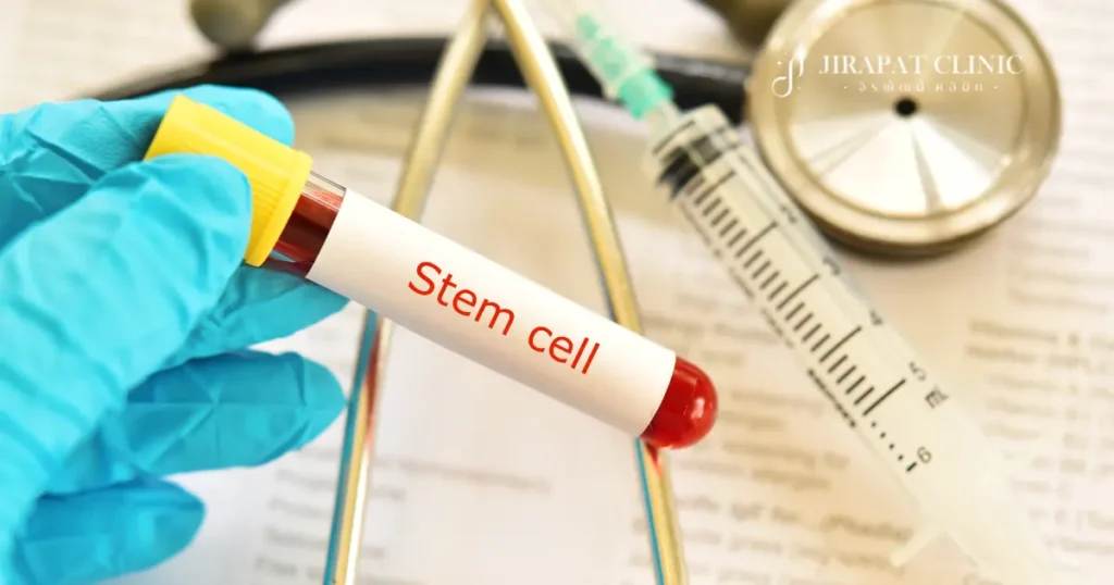 สเต็มเซลล์ (Stem Cells) คืออะไร