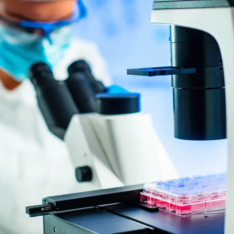 Epidermal Growth Factor (EGF) คืออะไรและช่วยในด้านใดบ้าง
